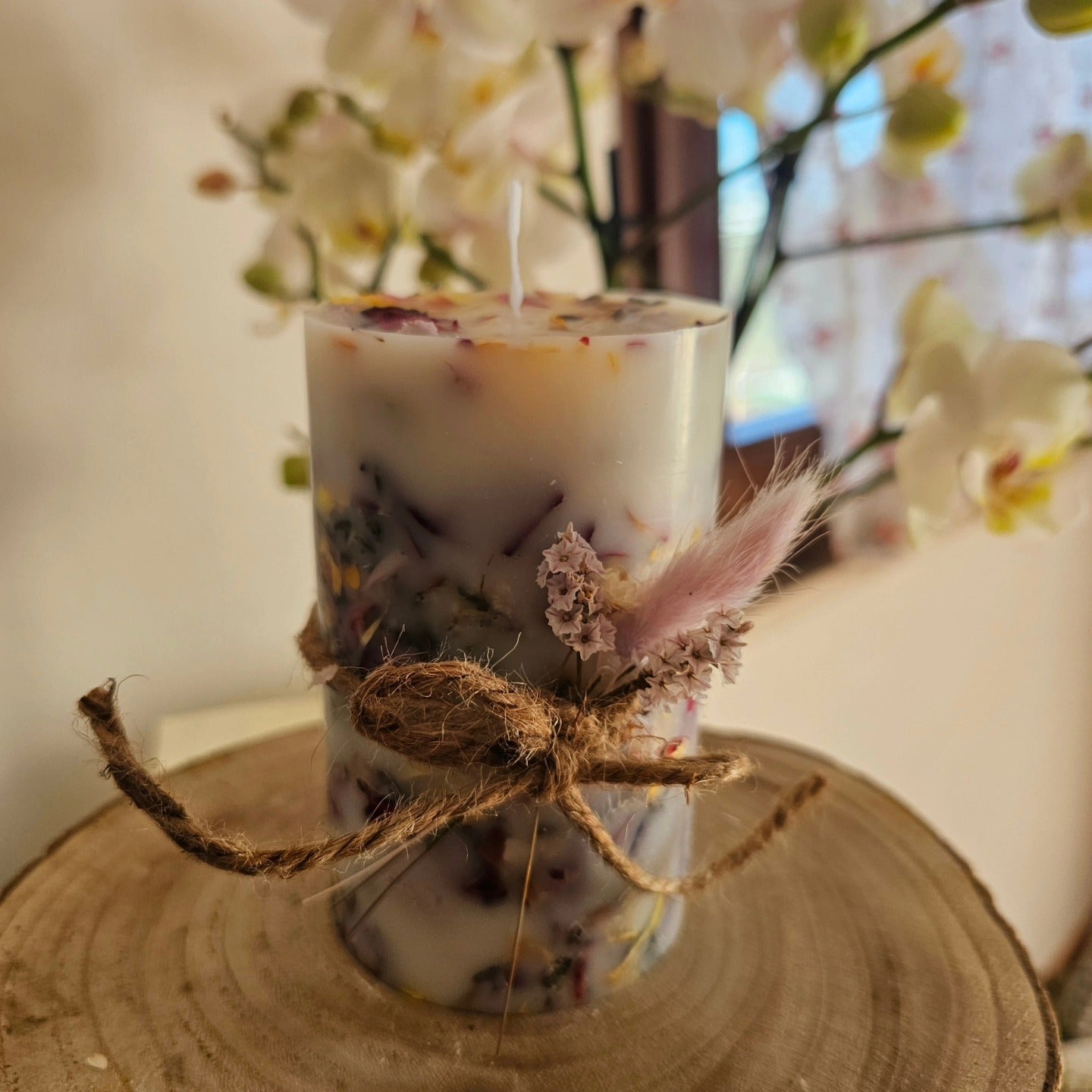 Candela botanica
