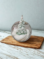 Alberello sulla neve