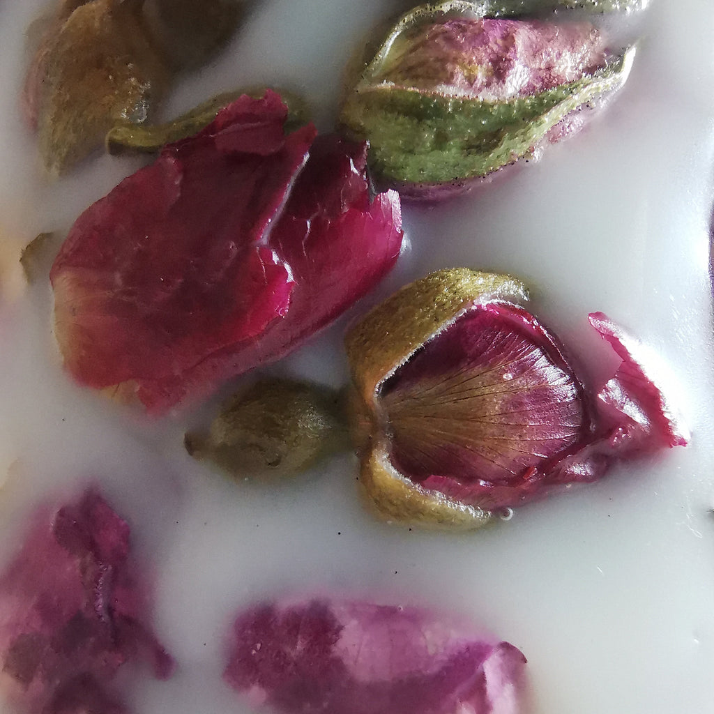 Candela botanica